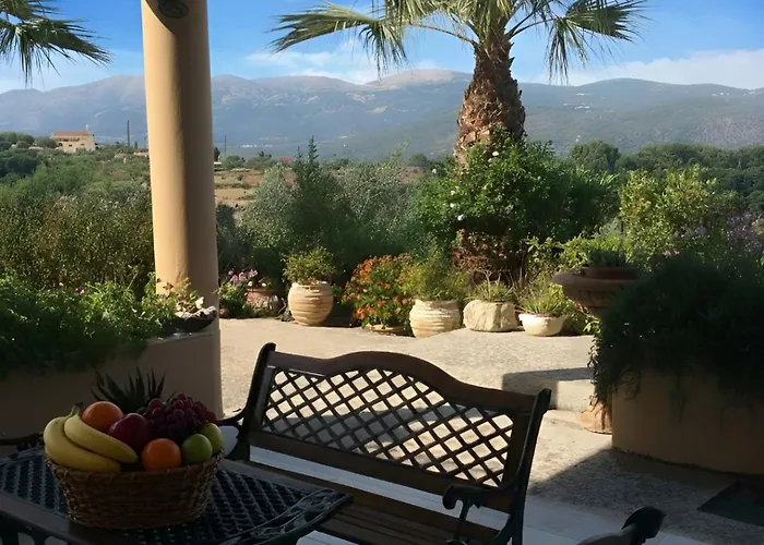Olive Grove Family
